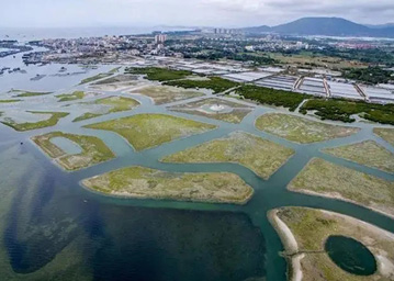 海南陵水紅樹林濕地公園試點建設項目測繪和勘察服務